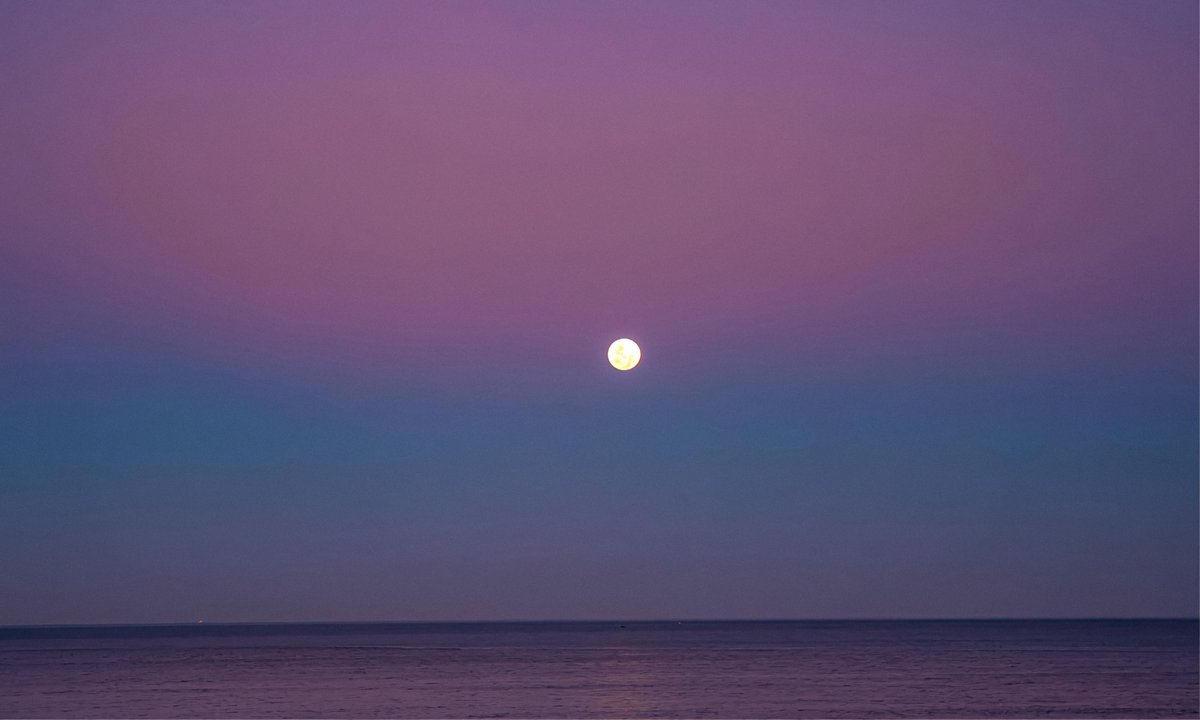 studio ghibli (@gardenofghibli) on Twitter photo 