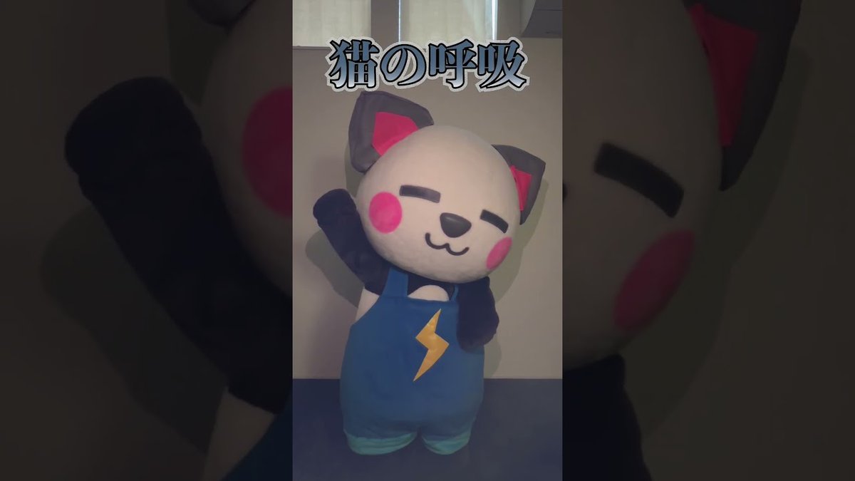 さかいさんだー🐼 (@Sakai_Thunder) / Posts / X