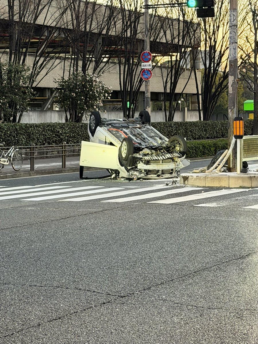 けんパパ (@kenpapacerezo) / Posts / X