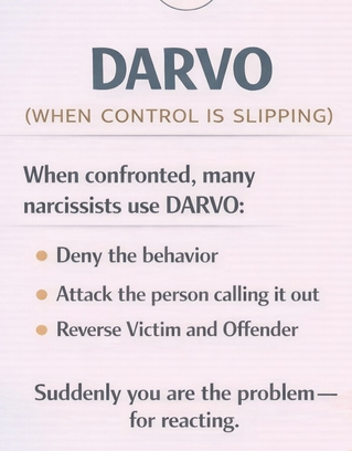 The Narcissist Box tweet media