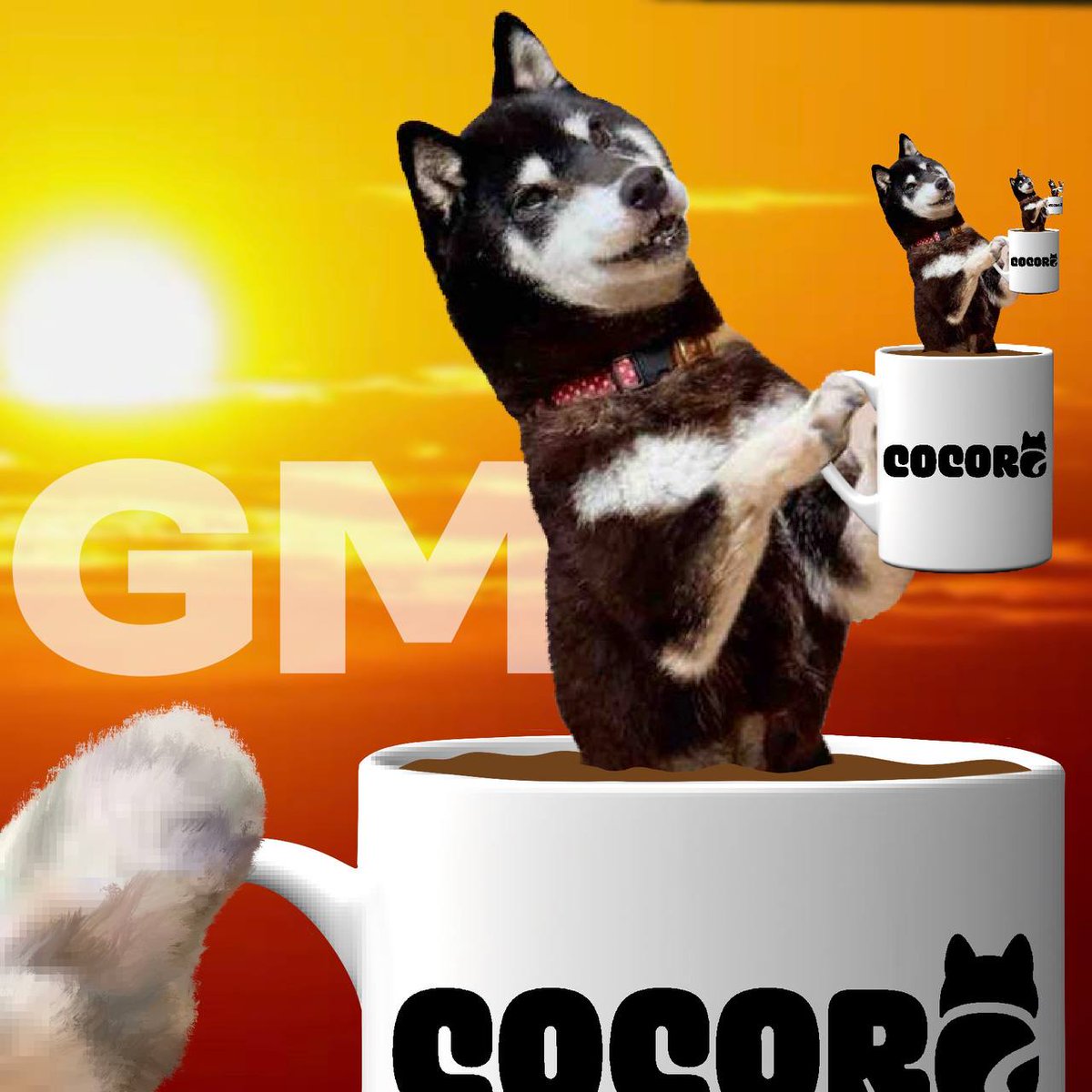 officialcocoro's tweet image. Gm $Cocoro 🌇🐶