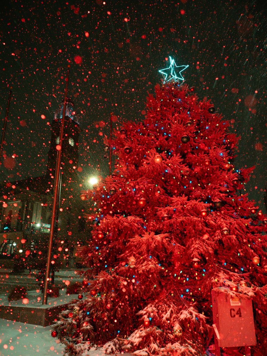 Benjamin Lehman tweet media