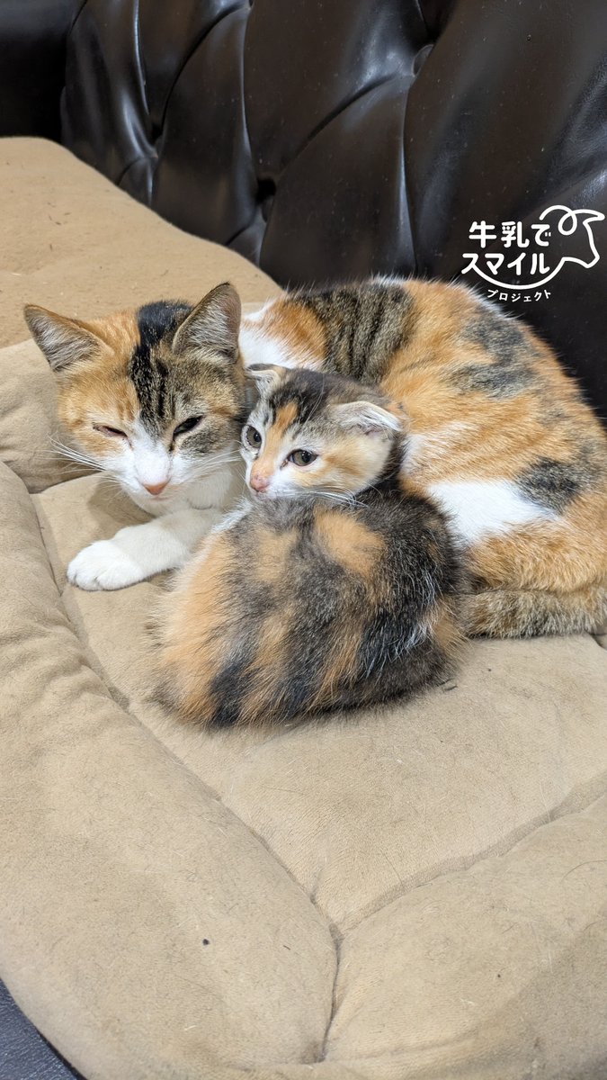 BluE (@bluemen486) / Posts / X