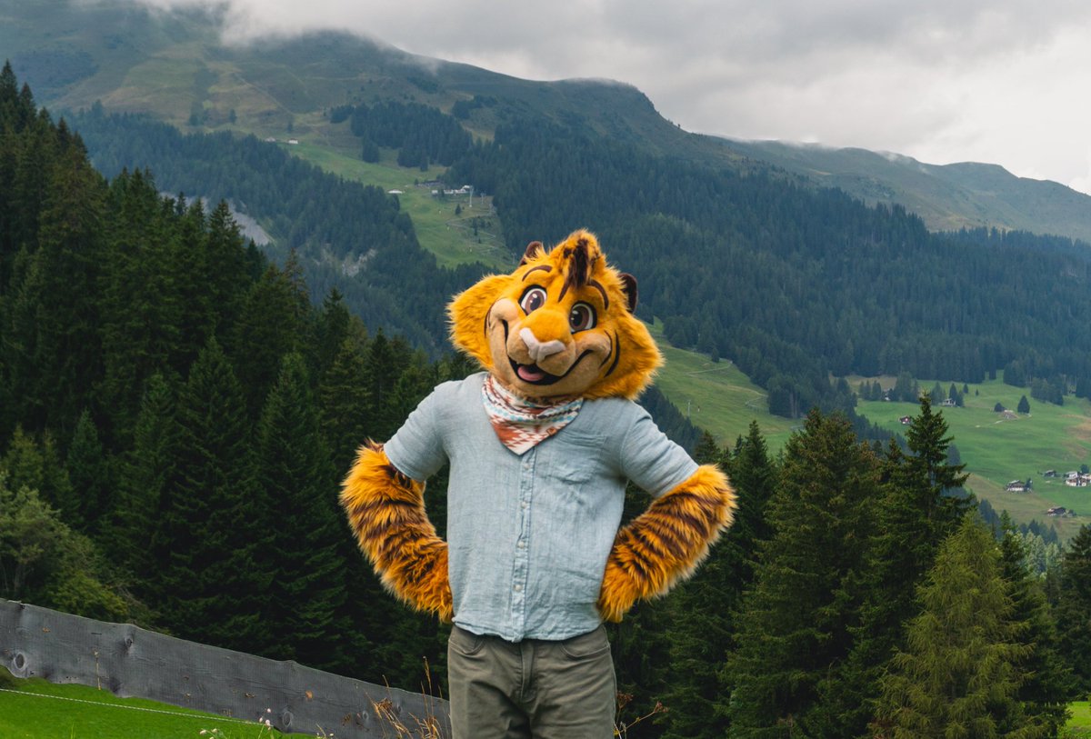 TigyTheGaymer's tweet image. Sassy Tiger #FursuitFriday 

📷: @AndyTheShiba