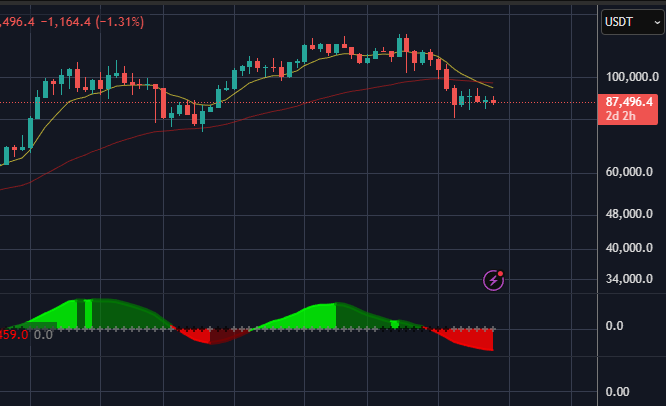 @Eloy T 🟧 tweet media
