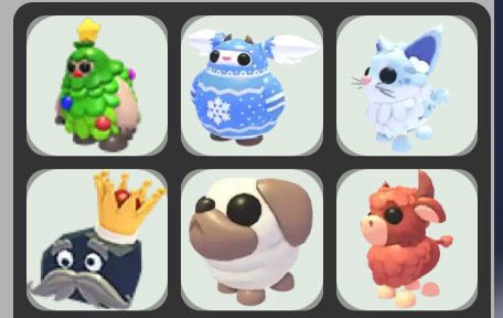 ˙𐃷˙ tweet media