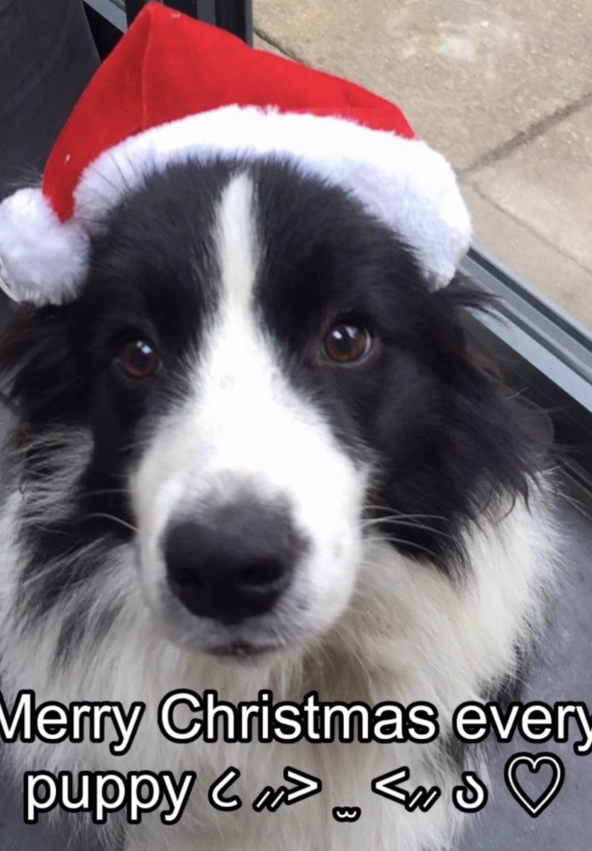 Phthalolz's tweet image. 