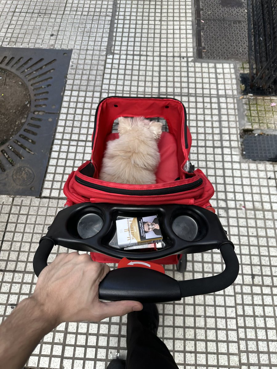 valenetch's tweet image. todo por la nena