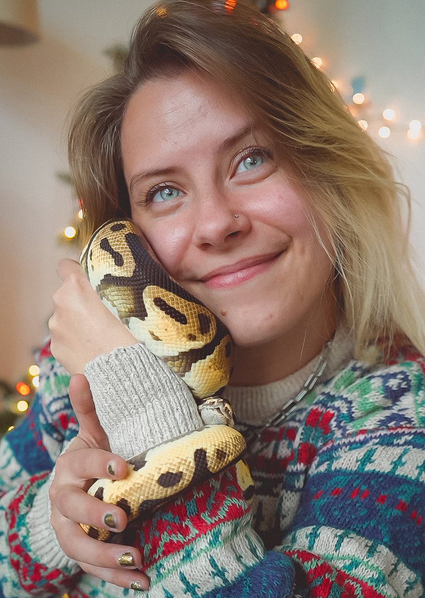 NoisyButters's tweet photo. HAPPY HOLIDAYS MY FRIENDS ✨🎄 May you all hav a phenomenal end of year full of peace, positivity, and happiness ❤️

also Po wanted to be the star on top of the tree, but it is simply too tall sry Po https://t.co/3oioOr49LD
