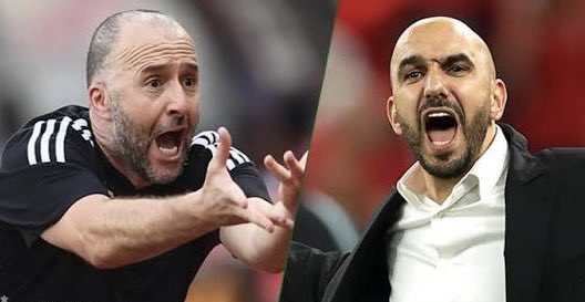 yacine_youssfi's tweet image. Ils ont beaucoup de points communs…