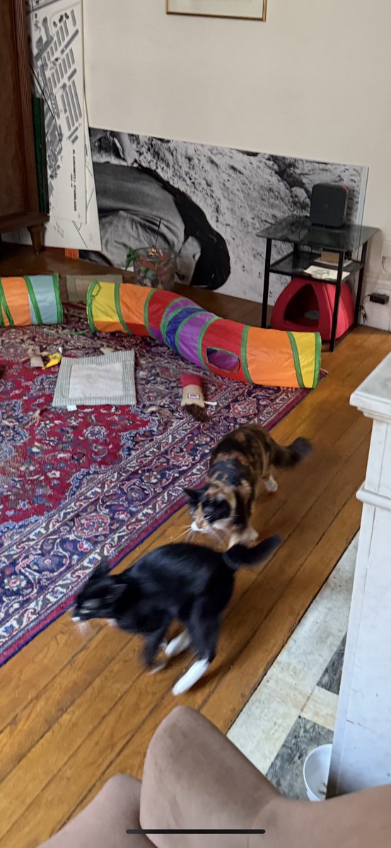 arno klarsfeld tweet media