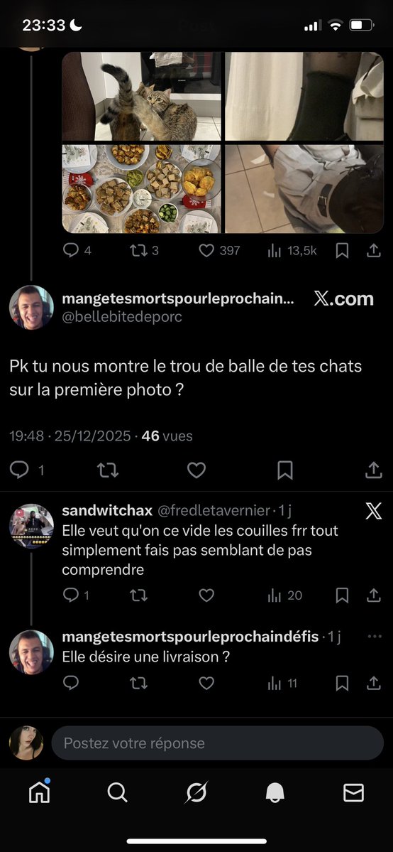 xlilpunpun's tweet image. honnêtement j’ai même plus les mots. 
ça sexualise des chats. oui oui des chats. 
j’suis tellement écœurée vous êtes les pire crasseux de cette espèce