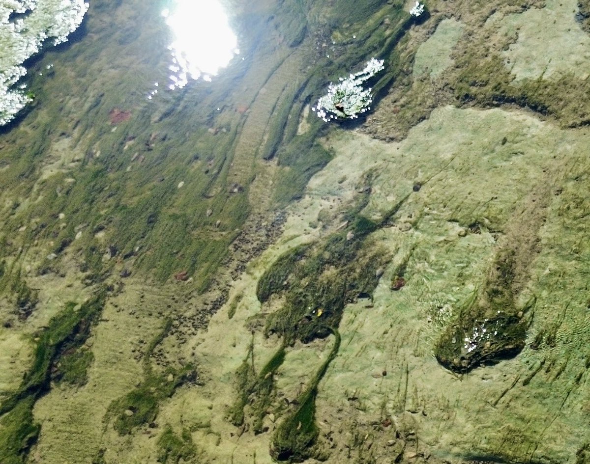 Trekin's tweet image. My son took very good pictures today 🤍📷