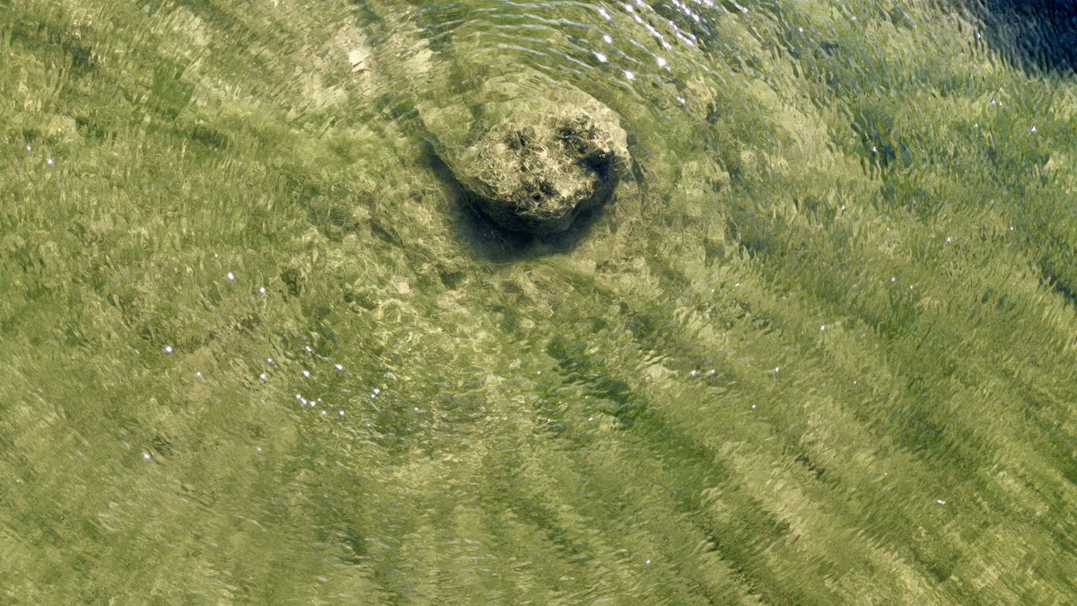 Trekin's tweet image. My son took very good pictures today 🤍📷