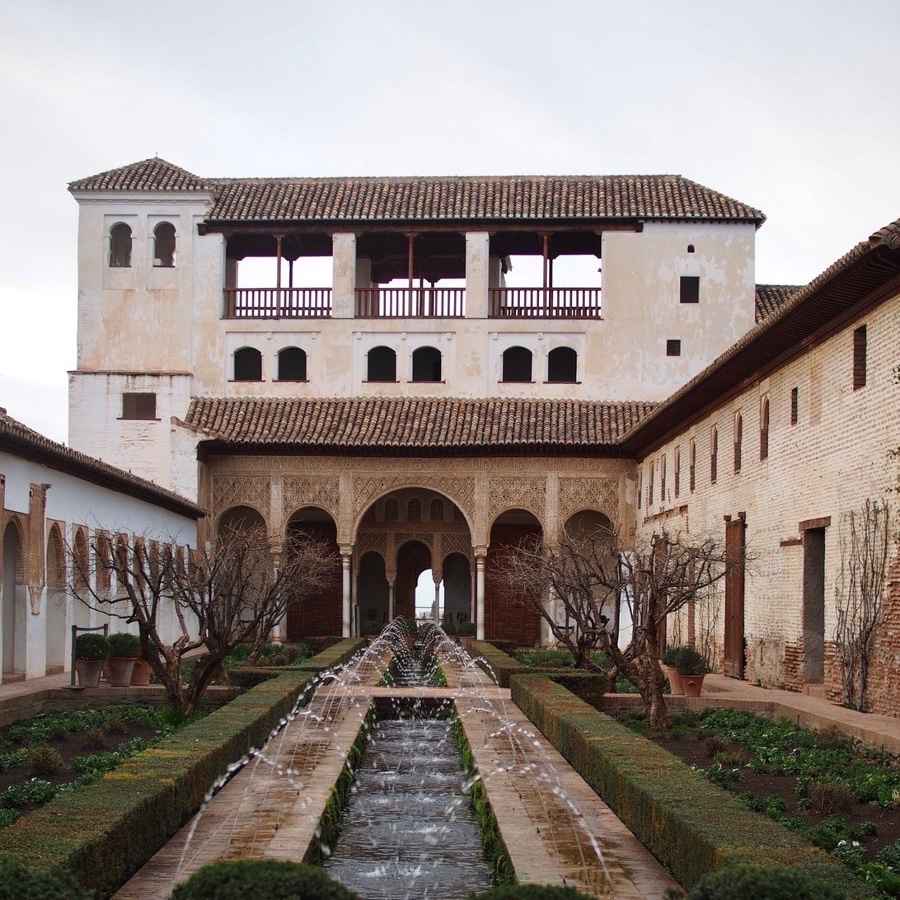 rs_parasite's tweet image. oh to live in a moorish garden amongst the persimmon trees