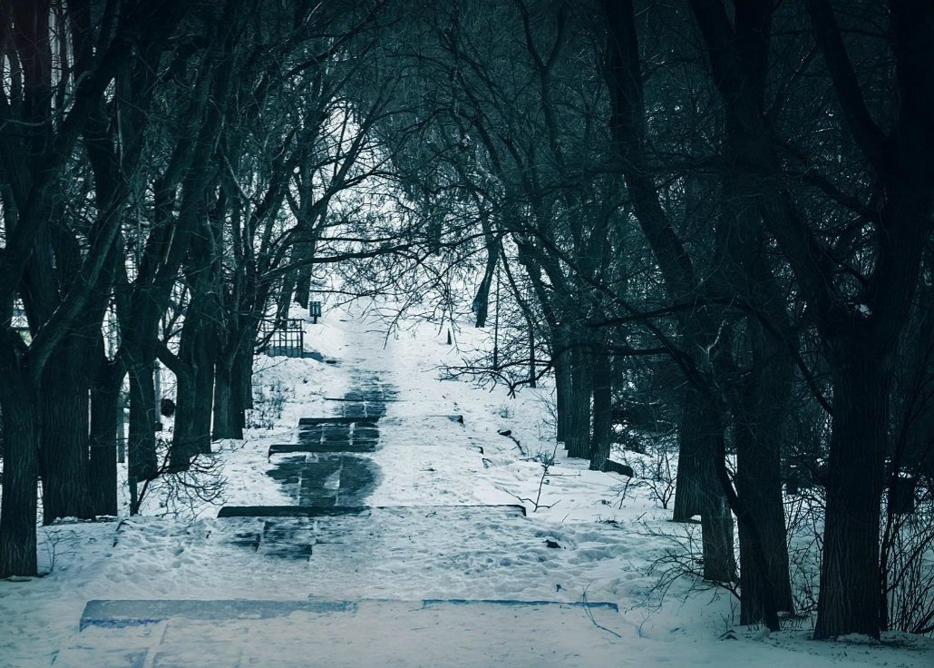 Катерина Галич tweet media