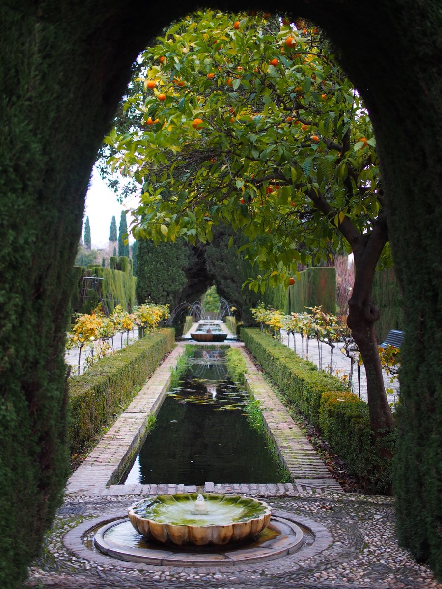 rs_parasite's tweet image. oh to live in a moorish garden amongst the persimmon trees