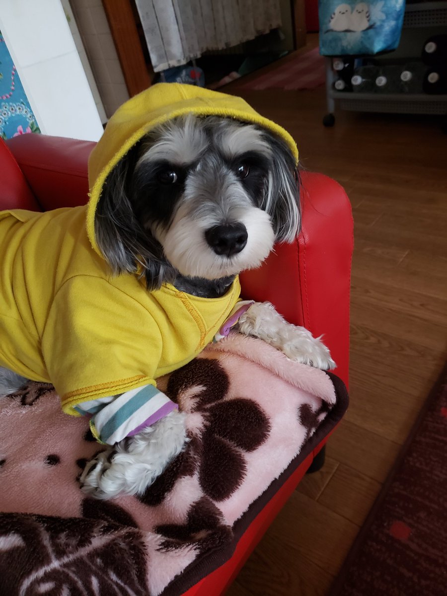 HIROMI ( パールﾃﾞｨｽﾃﾆｨｰ✩がちゃぴん (@majyochan88) / Posts / X