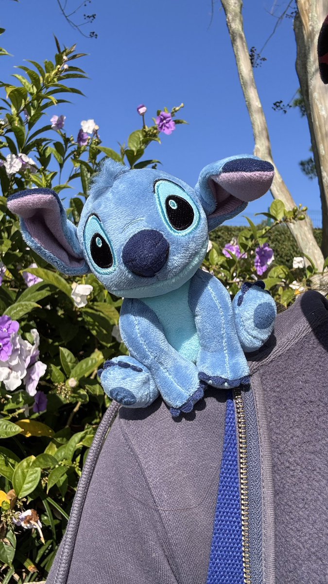 ♡♡ J-Kitty 🇺🇸 ♡♡ tweet media