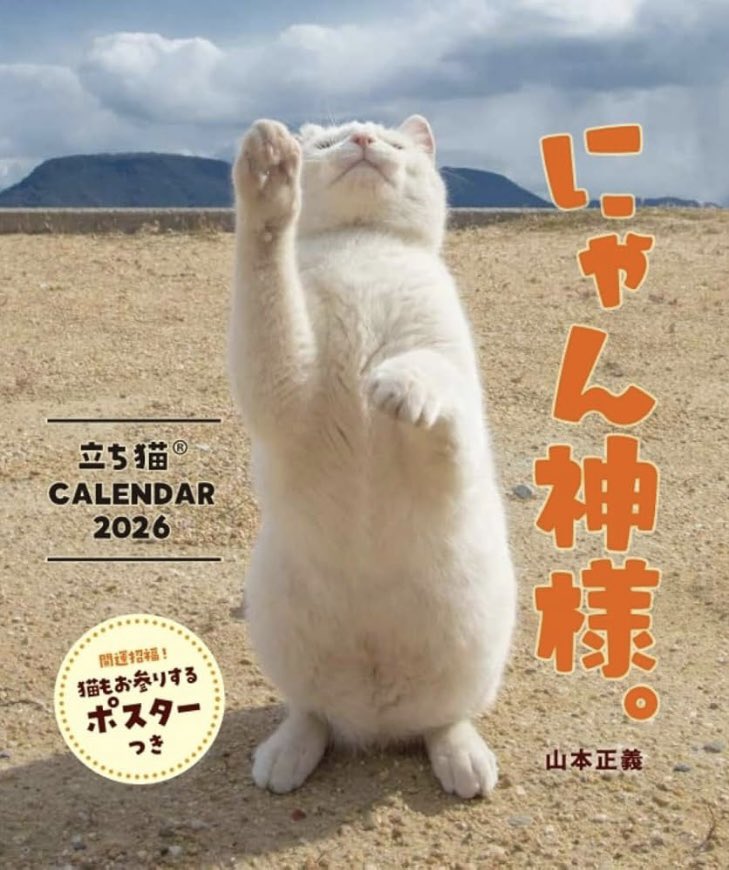 日刊ニャンダイ (@nikkan_nyandai) / Posts / X