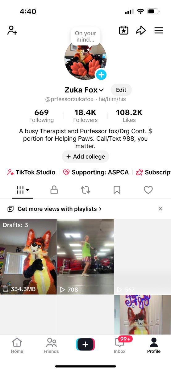 Purrfessor Zuka the Firefox. Jake P Loss🥊 tweet media