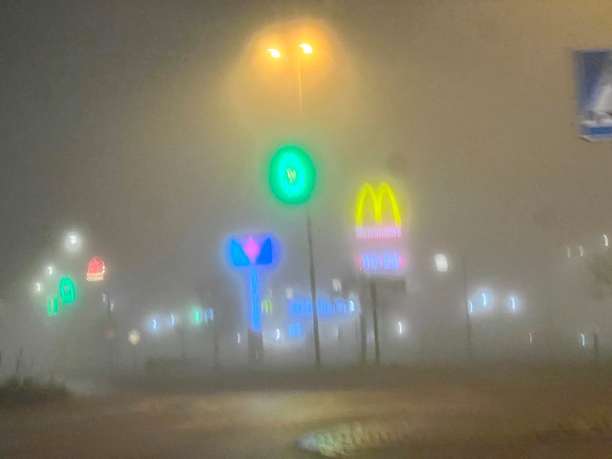 Gustaf Nilsson 🇸🇪 tweet media