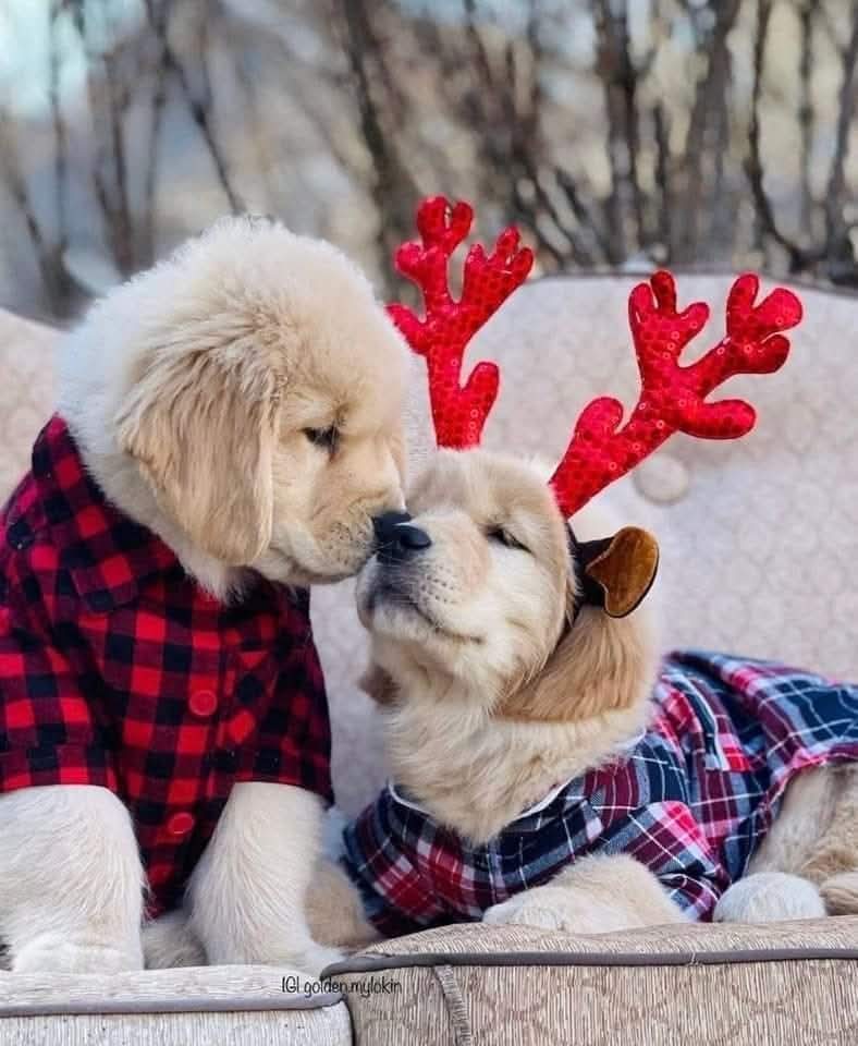 Шинэ өглөөний мэнд хүргэе🥰

Итгэл бүхнийг боломжтой болгодог бол хайр бүгдийг амархан болгодог🙏

Төгс Гэгээрсэн Их Багш Чин Хай. 

Өдөр бүр 21:00-22:00 Дэлхий нийтийн алтан бясалгал, залбиралын цаг дор нэгдээрэй 🙏