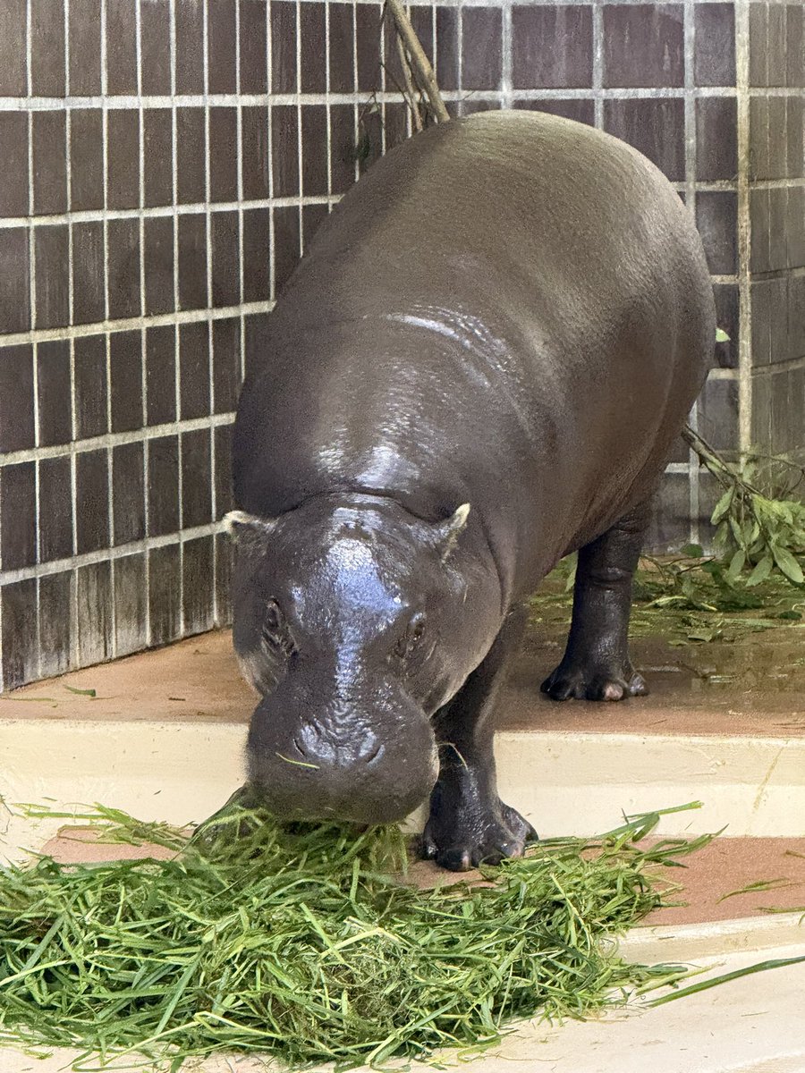 【甘党スナフキン】 豪華な付録！】スナフキンの「スタンプ＆缶ケースセット」を、雑誌