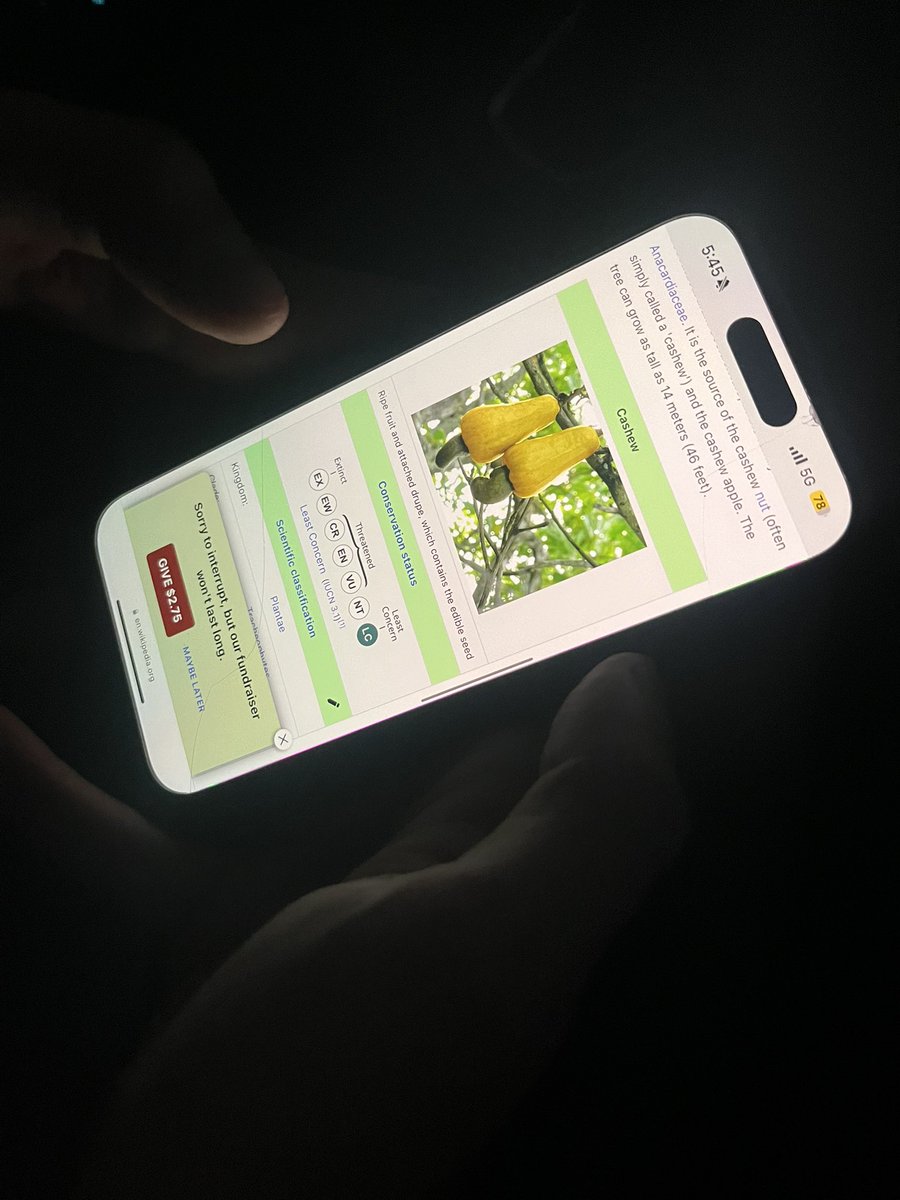 yeahweouthere55's tweet image. 