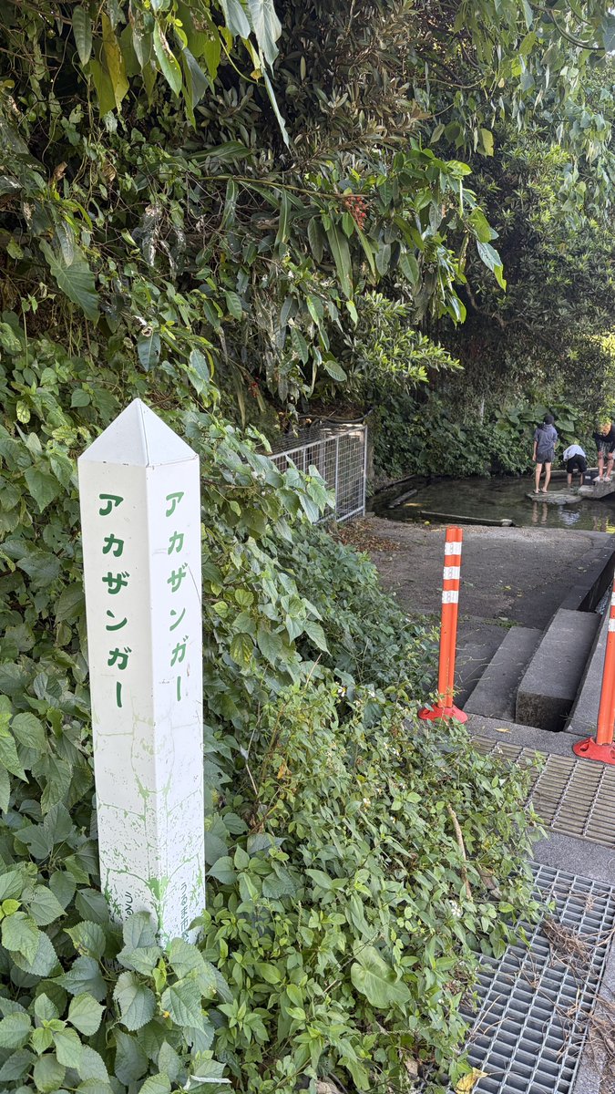 近況(と言うには時が経ち過ぎている)
風・木・火・水

数ヶ月の戦いで一度もお目にかかれなかったドゥー・ムラサメのカード！！
バンドメンバーから頂いた！😭
とてもキラキラしている！
空気が綺麗！

マジで
いつも…「強さ」をありがとッ…