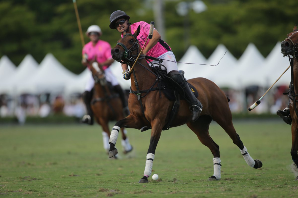 US Polo Association tweet media