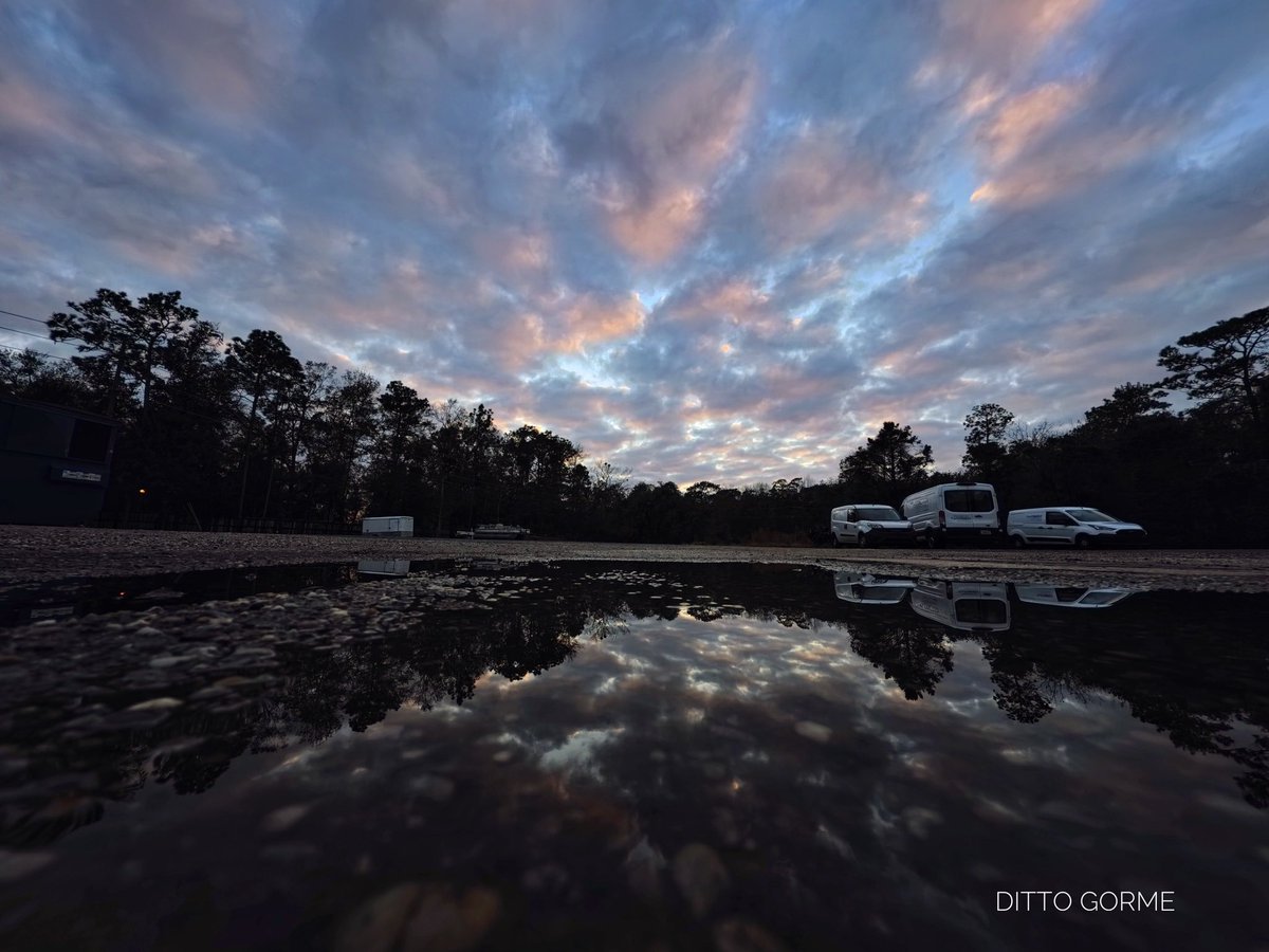 Ditto Gorme tweet media