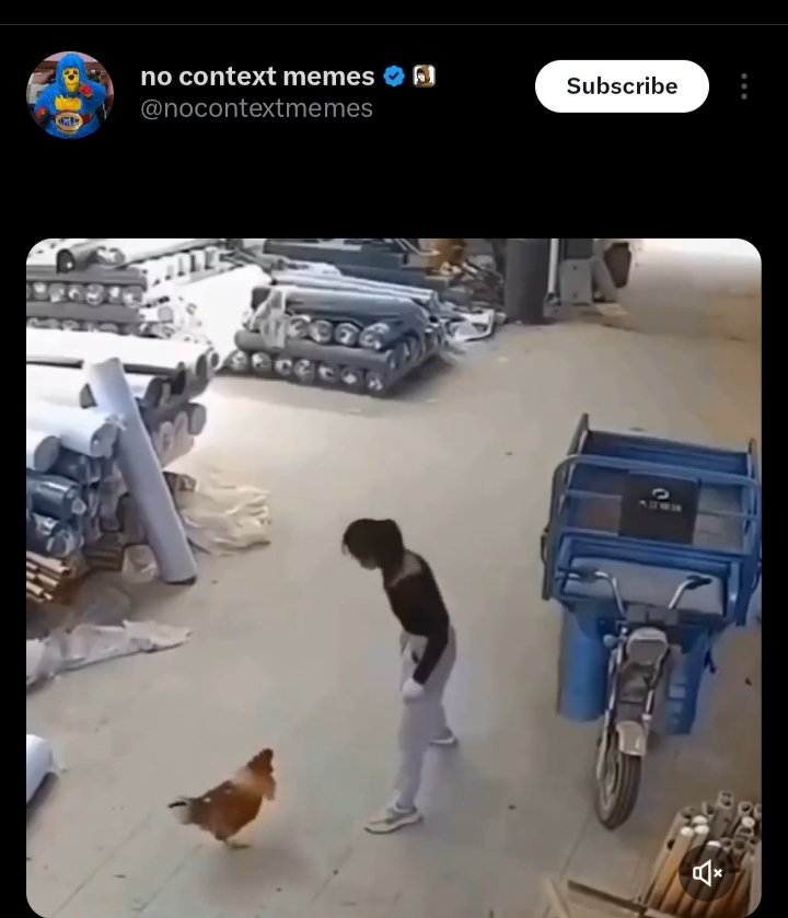 shadoomf🪲🇵🇸(homunculus enjoyer) tweet media