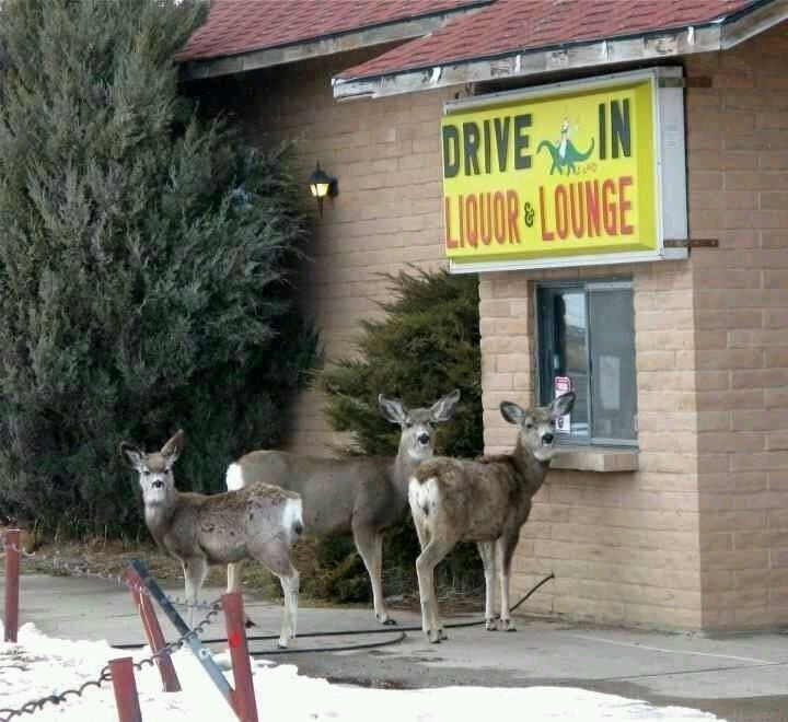 deershouldnt's tweet image. These guys keep trying to buy without ID