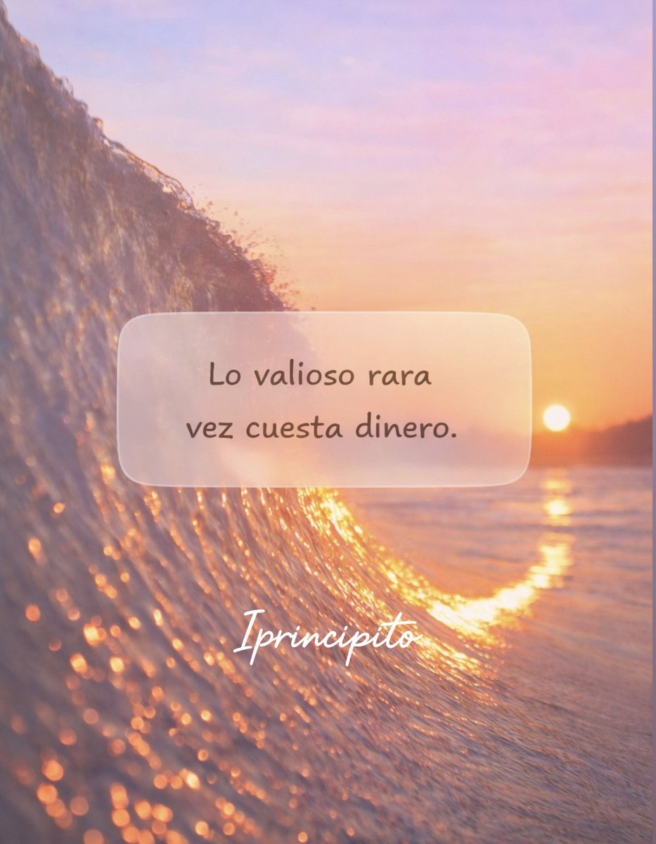 El Principito ✨ tweet media