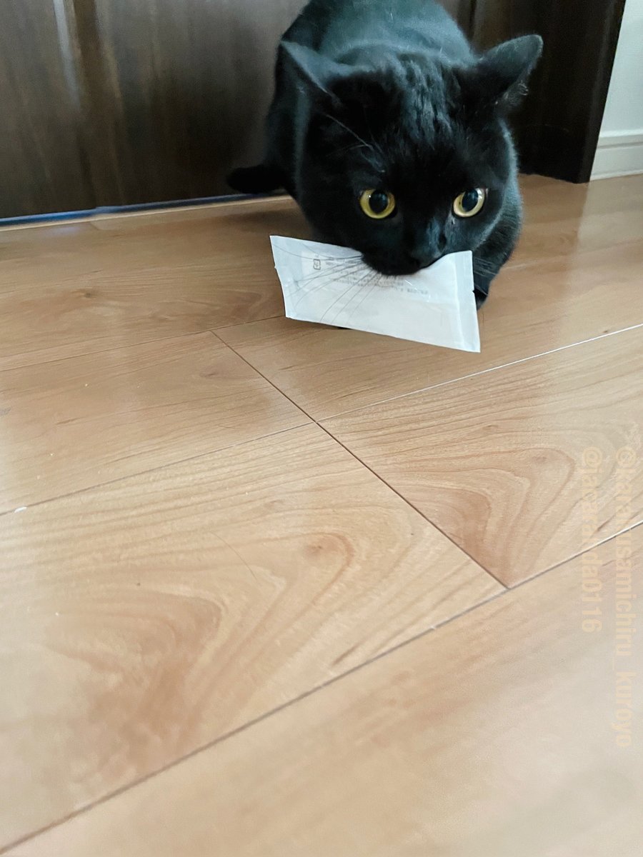 jacaranda0116's tweet image. ω