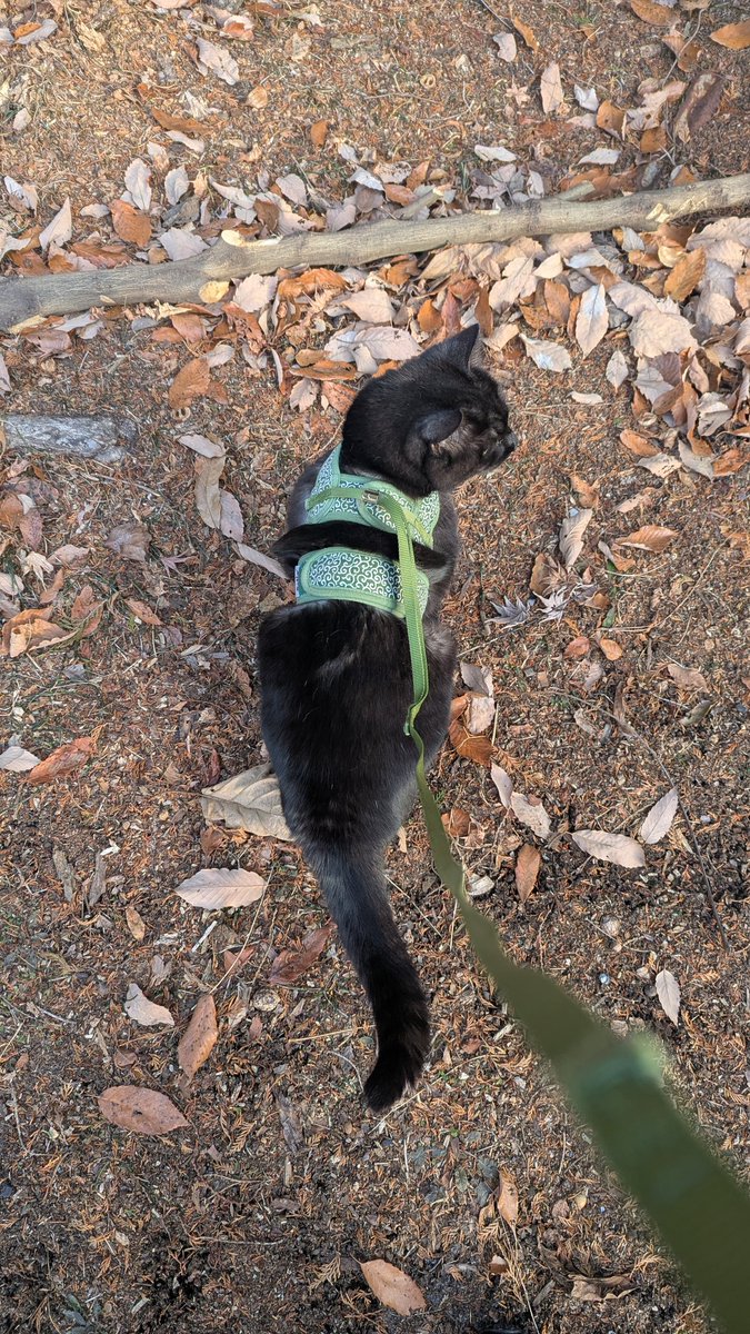 さみーから早く家帰ってストーブにあたろうぜ…