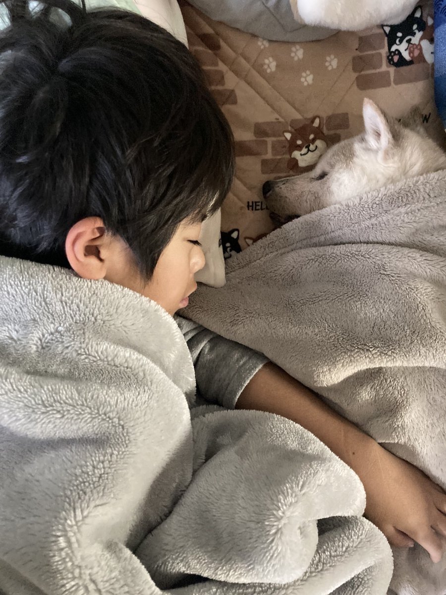 ちゃーくん (@AkAVceDyN4QgGH7) / Posts / X