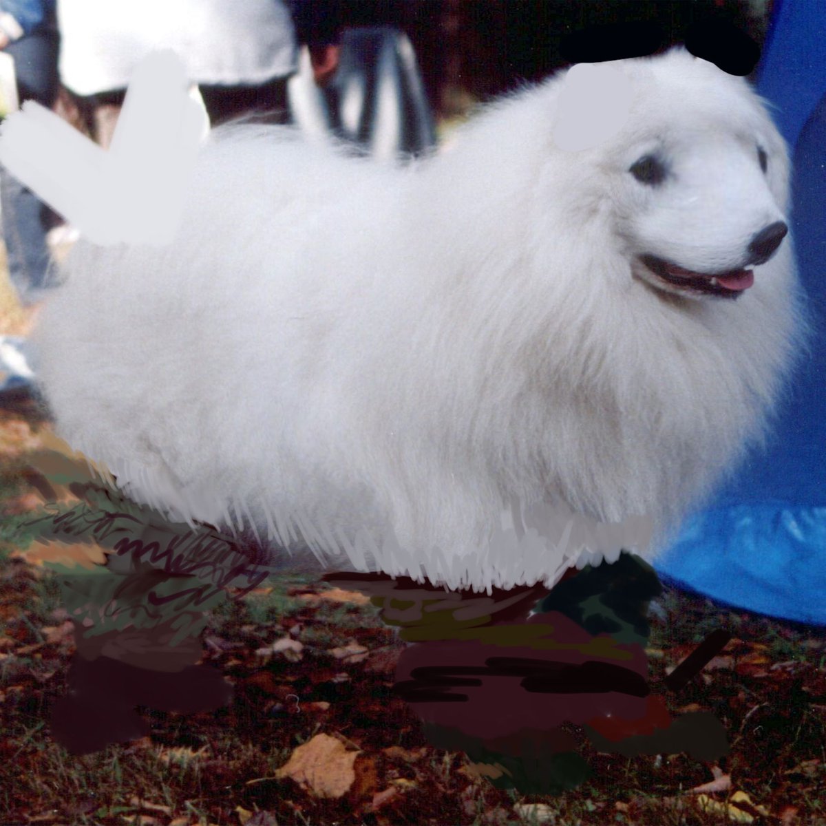 Its me... anjing laut