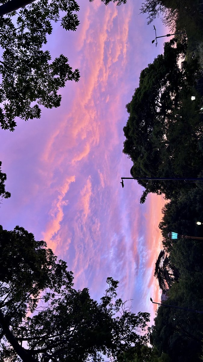 AlianzLas's tweet photo. 🌅 https://t.co/fWhRet6bh1