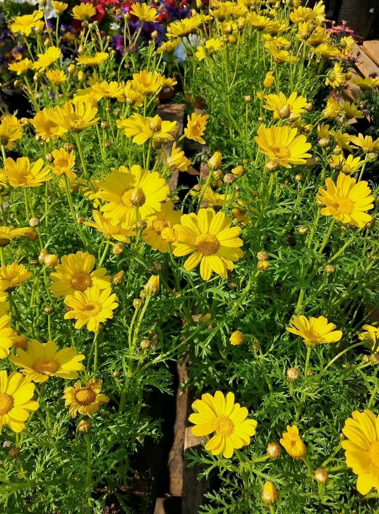 Saludos de temporada 👋