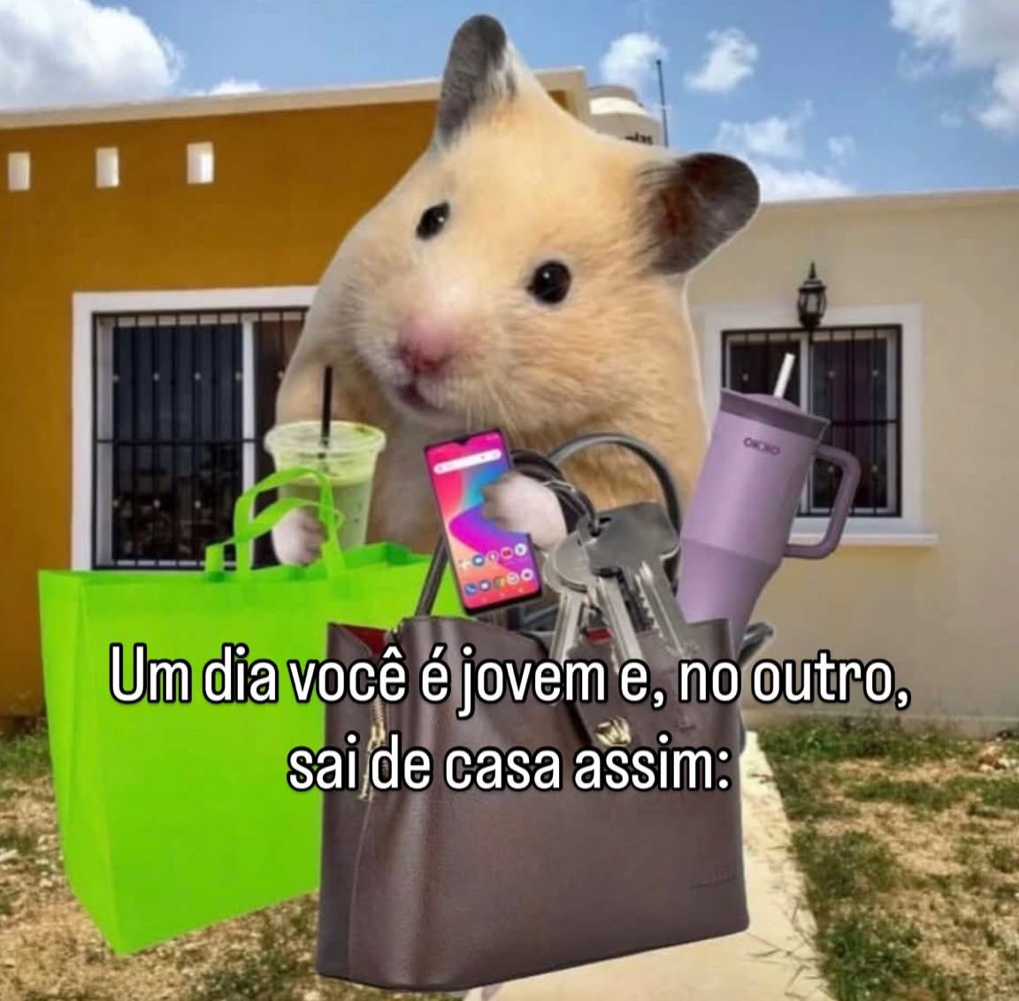 paginalixo1's tweet image. 