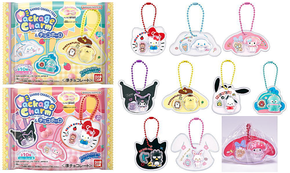 ✨新商品案内 2025年12月27日(土)✨／ ☑️サンリオキャラクターズ