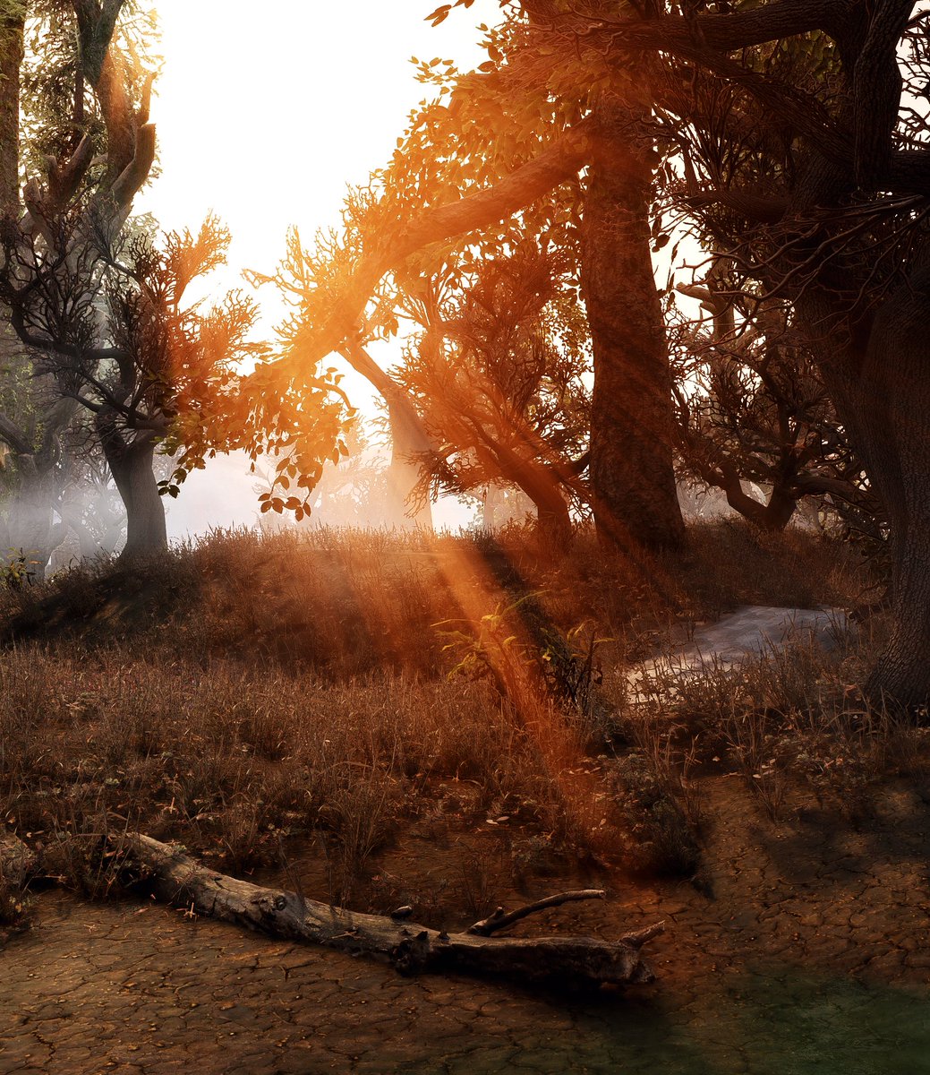 B̷e̷l̷p̷h̷e̷g̷o̷r̷ 📸 tweet media