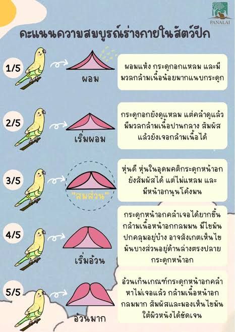 Manycho' 🍊 tweet media