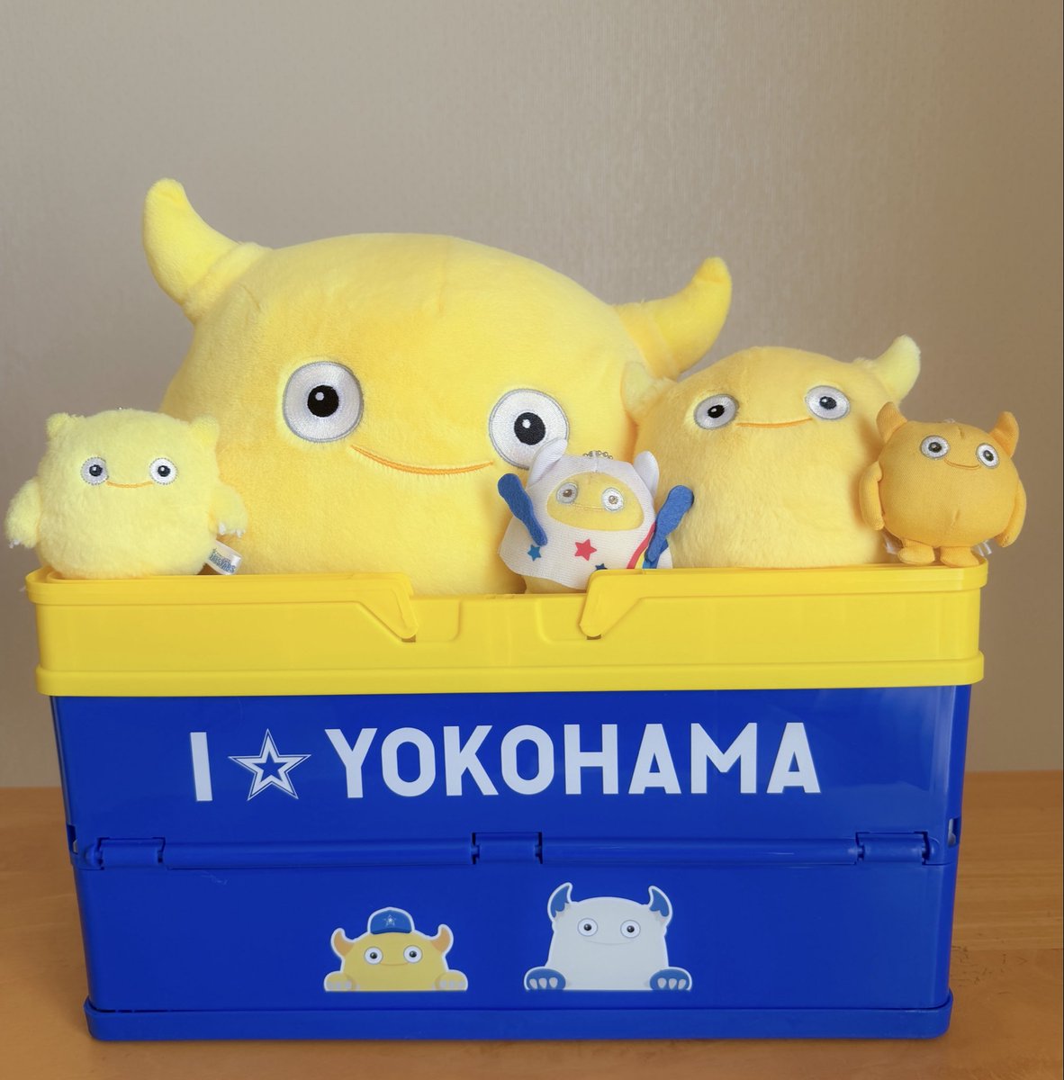 のびすけページ API9_setup6.jpg