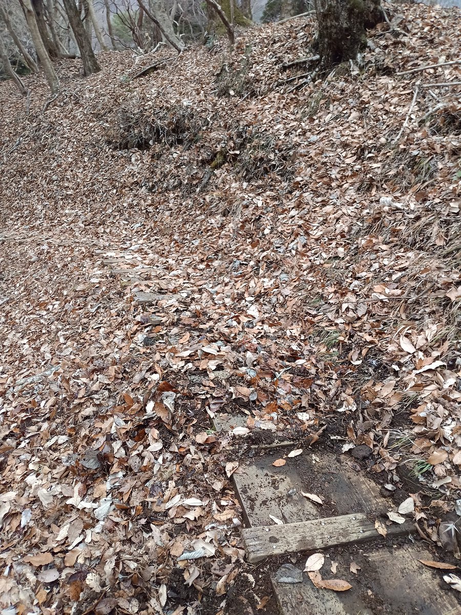 Senba_39's tweet image. ボーナスでケレン棒を買ったので塔ノ岳の木道に溜まった土を除去してきました。
2枚目がビフォーで次がアフターです。
上の方は凍って出来なかったのでまた今度。