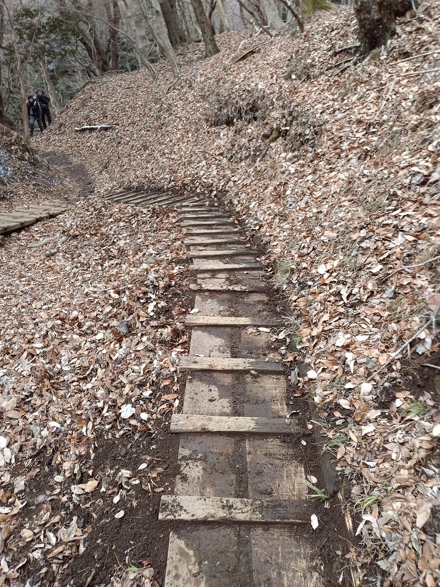 Senba_39's tweet image. ボーナスでケレン棒を買ったので塔ノ岳の木道に溜まった土を除去してきました。
2枚目がビフォーで次がアフターです。
上の方は凍って出来なかったのでまた今度。