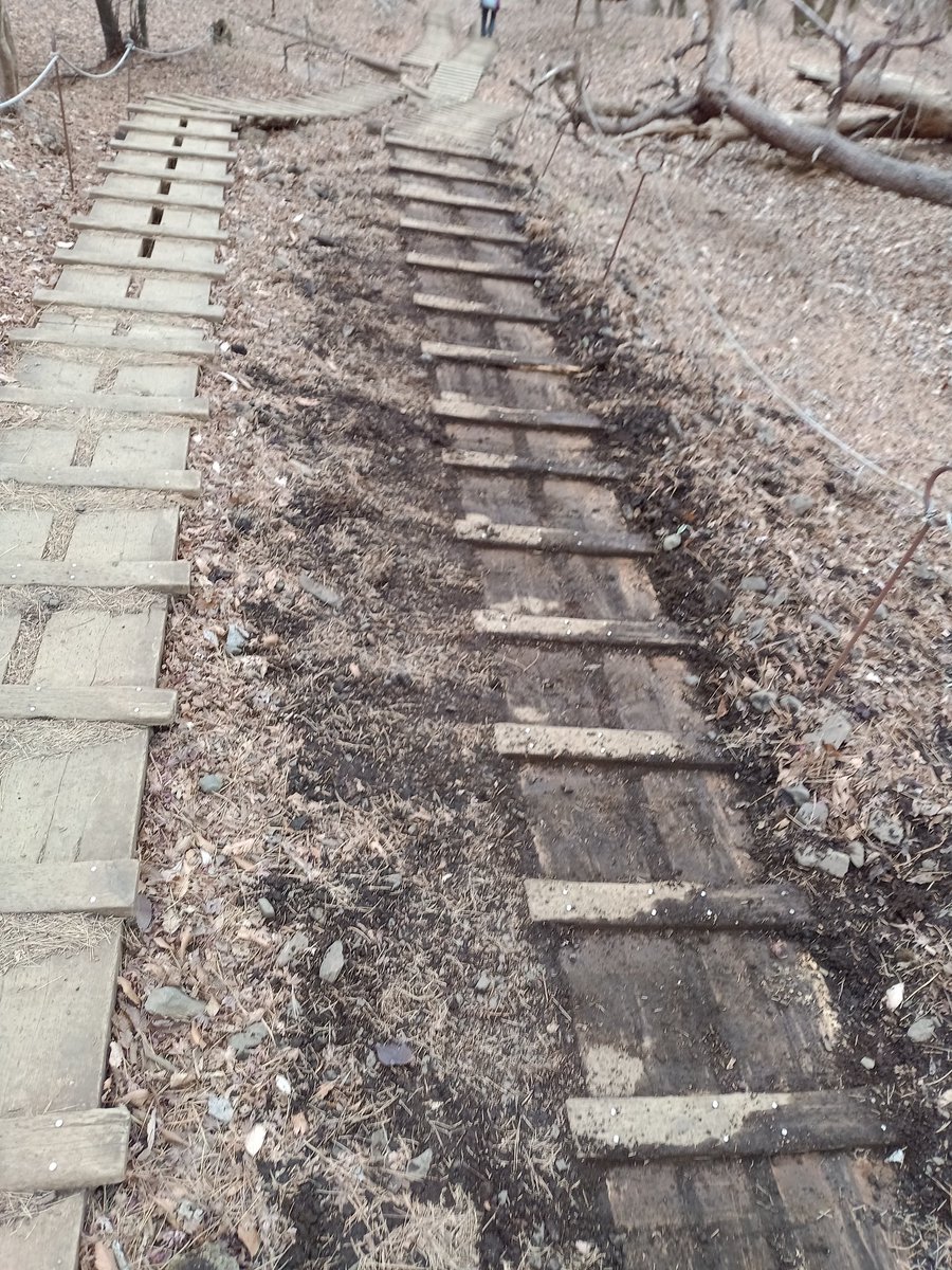 Senba_39's tweet image. ボーナスでケレン棒を買ったので塔ノ岳の木道に溜まった土を除去してきました。
2枚目がビフォーで次がアフターです。
上の方は凍って出来なかったのでまた今度。