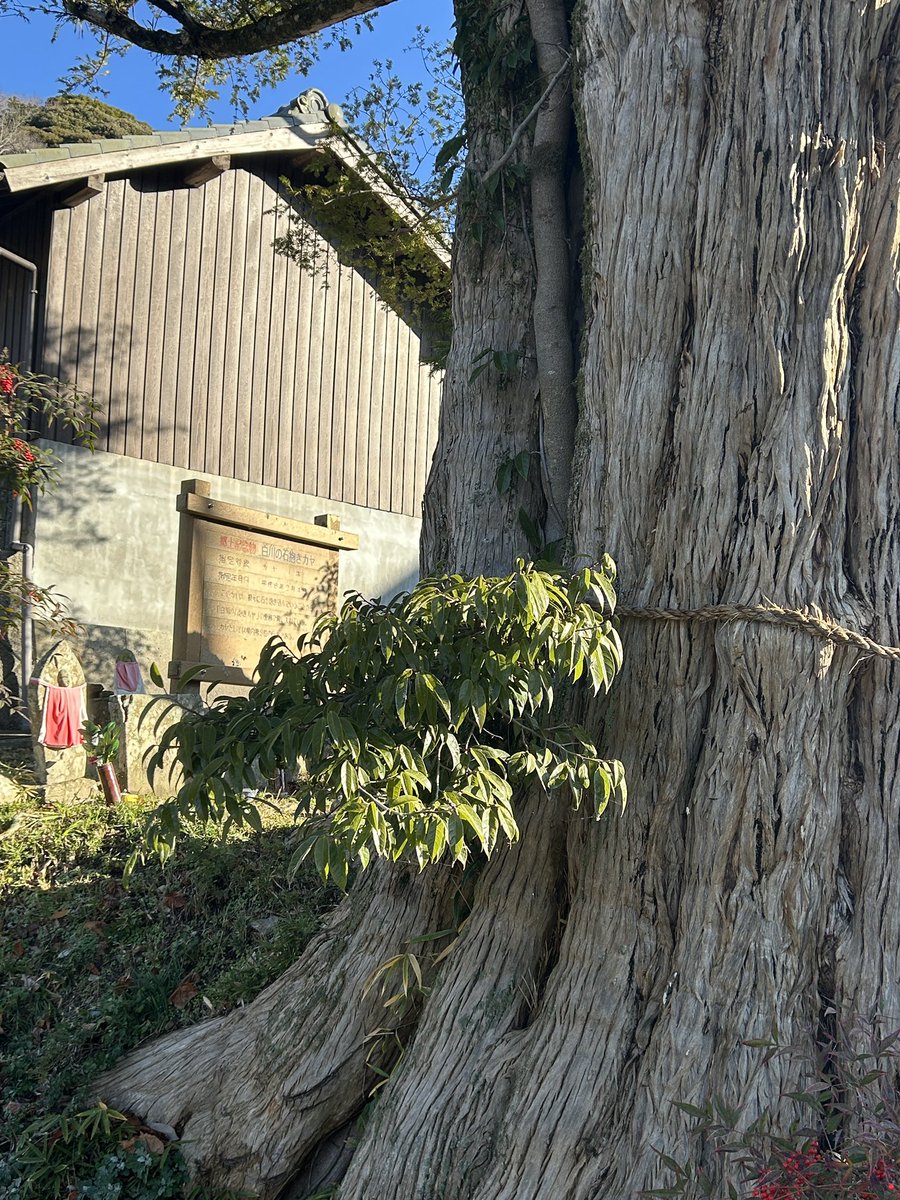 twobytwo_sp's tweet image. いつものご近所でポタリング🚴
今日は白川から徳川道へ
微妙に昨日の雨、雪の影響で
べちゃべちゃ😓
まあ、古タイヤもエア漏れしてたが
最後まで走れたんで良しでしす。☺️